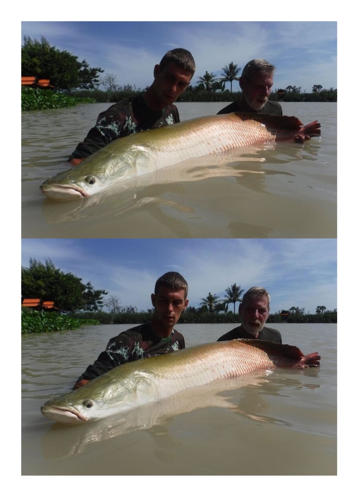 Mooiste Spinsets en Twitchbaitsets met Spinhengel - Wesdijk Hengelsport